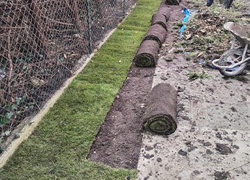 David Laurot Élagage - Entretien d'Espaces Verts & Maçonnerie Paysagère à Champigny-sur-Marne (94500) - Val-de-Marne 94